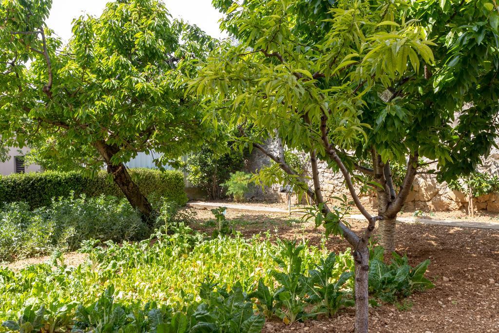 Panorama Holidays Kaštel Stari المظهر الخارجي الصورة